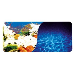 Chicos 80Cm Mercan-Deniz 9029/9063 Plastik Poster - 1