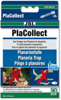 Jbl Placollect Planarya Tuzağı - 1