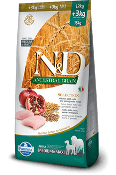 N&D Düşük Tahıllı Medium Maxi Tavuk Etli ve Narlı Yetişkin Köpek Maması 12+3 Kg - 1