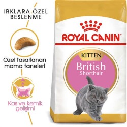 Royal Canin British Shorthair Kitten Yavru Kedi Maması 2 Kg - 2