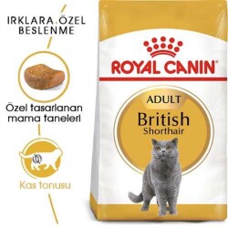 Royal Canin British Shorthair Yetişkin Kedi Maması 10 Kg - 1