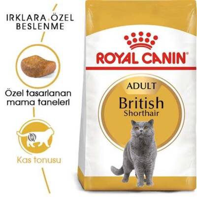 Royal Canin British Shorthair Yetişkin Kedi Maması 2 Kg - 1