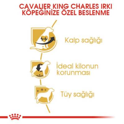 Royal Canin Cavalier King Charles Irk Yetişkin Köpek Maması 1,5 Kg - 2