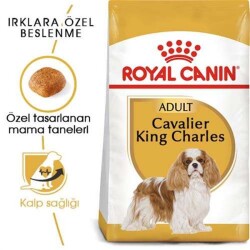 Royal Canin Cavalier King Charles Yetişkin Köpek Maması 3 Kg - 1