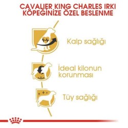 Royal Canin Cavalier King Charles Yetişkin Köpek Maması 3 Kg - 6