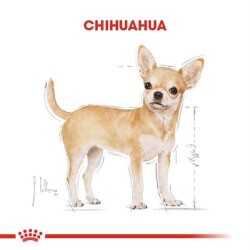 Royal Canin Chihuahua Yetişkin Köpek Maması 1,5 Kg - 7