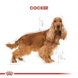 Royal Canin Cocker Yetişkin Köpek Maması 3 Kg - 7