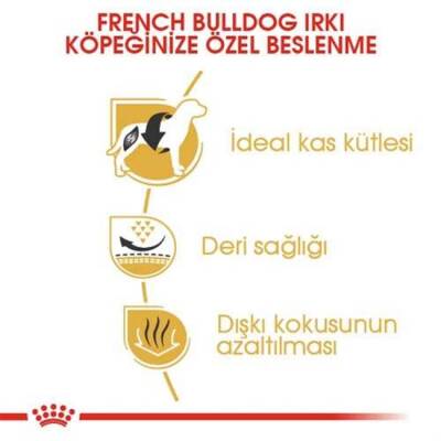 Royal Canin French Bulldog Özel Irk Yetişkin Köpek Maması 3 Kg - 3