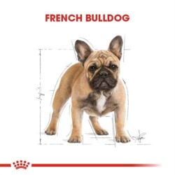 Royal Canin French Bulldog Özel Irk Yetişkin Köpek Maması 3 Kg - 7