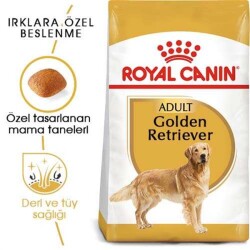 Royal Canin Golden Retriever Yetişkin Köpek Maması 12 Kg - 1