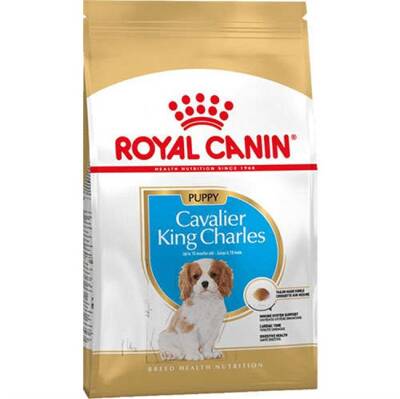 Royal Canin Junior Cavalier King Charles Yavru Köpek Maması 1,5 Kg - 2