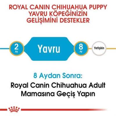 Royal Canin Junior Chihuahua Yavru Köpek Maması 1,5 Kg - 4