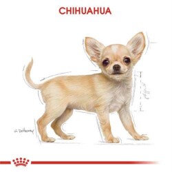 Royal Canin Junior Chihuahua Yavru Köpek Maması 1,5 Kg - 8