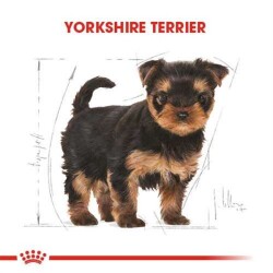 Royal Canin Junior Yorkshire Terrier Yavru Köpek Maması 1,5 Kg - 8
