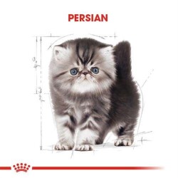 Royal Canin Kitten Persian 32 Yavru Kedi Maması 2 Kg - 8