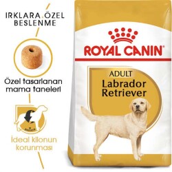 Royal Canin Labrador Retriever Irk Yetişkin Köpek Maması 12 Kg - 1