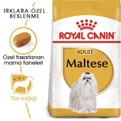 Royal Canin Maltese Yetişkin Köpek Maması 1,5 Kg - 1