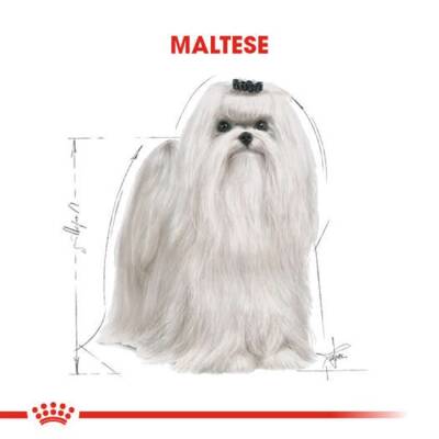 Royal Canin Maltese Yetişkin Köpek Maması 1,5 Kg - 5