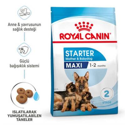 Royal Canin Maxi Starter Büyük Irk Anne ve Yavru Köpek Maması 15 Kg - 1