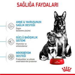 Royal Canin Maxi Starter Büyük Irk Anne ve Yavru Köpek Maması 15 Kg - 4