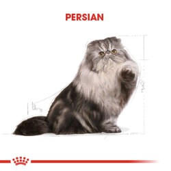 Royal Canin Persian 30 Iran Kedilerine Özel Mama 10 Kg - 7