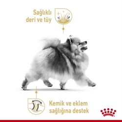 Royal Canin Pomeranian Irk Yetişkin Köpek Maması 3 Kg - 6
