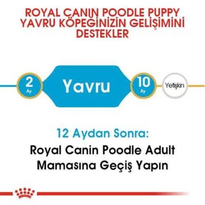 Royal Canin Poodle Puppy Yavru Köpek Irk Maması 3 Kg - 4