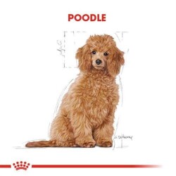 Royal Canin Poodle Puppy Yavru Köpek Irk Maması 3 Kg - 8