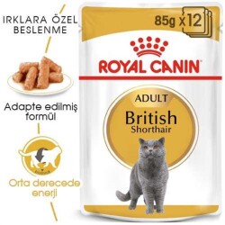 Royal Canin Pouch British Shorthair Irkına Özel Yetişkin Yaş Kedi Maması 85 Gr - 1