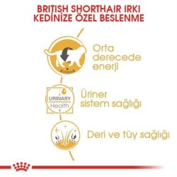 Royal Canin Pouch British Shorthair Irkına Özel Yetişkin Yaş Kedi Maması 85 Gr - 5