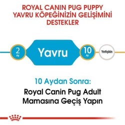 Royal Canin Pug Junior Yavru Köpek Maması 1,5 Kg - 4