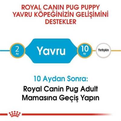 Royal Canin Pug Junior Yavru Köpek Maması 1,5 Kg - 4