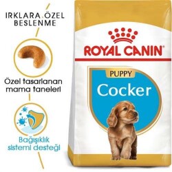 Royal Canin Puppy Cocker Irk Yavru Köpek Maması 3 Kg - 1