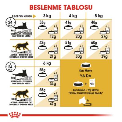 Royal Canin Siamese 38 Siyam Kedisine Özel Yetişkin Kedi Maması 2 Kg - 4