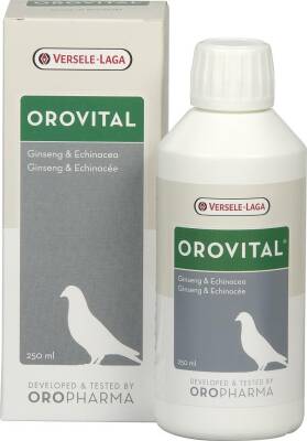 Versele Laga Oropharma Oro vital Güvercin Ginseng Ekinezyalı Karışm Vitamin 250 Ml - 1